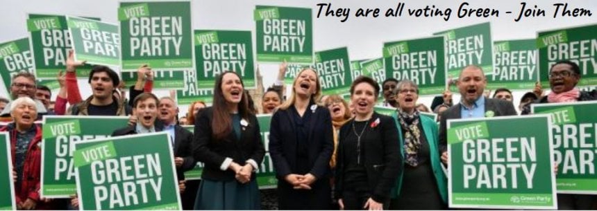 Green voters